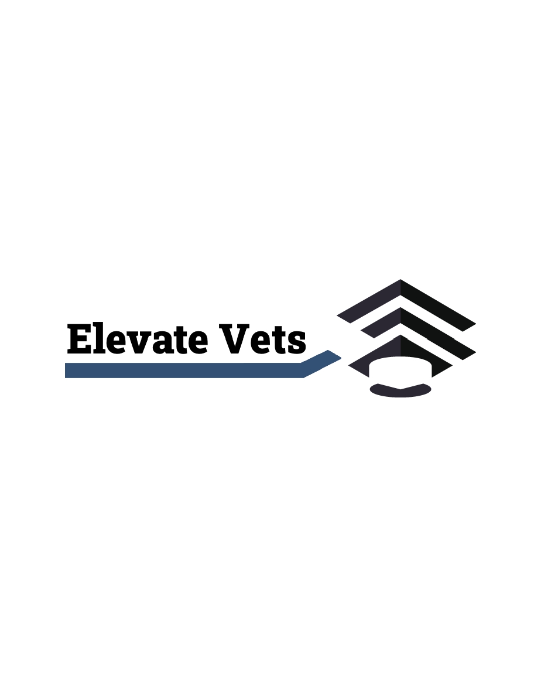 Grantee Spotlight: Elevate Vets
