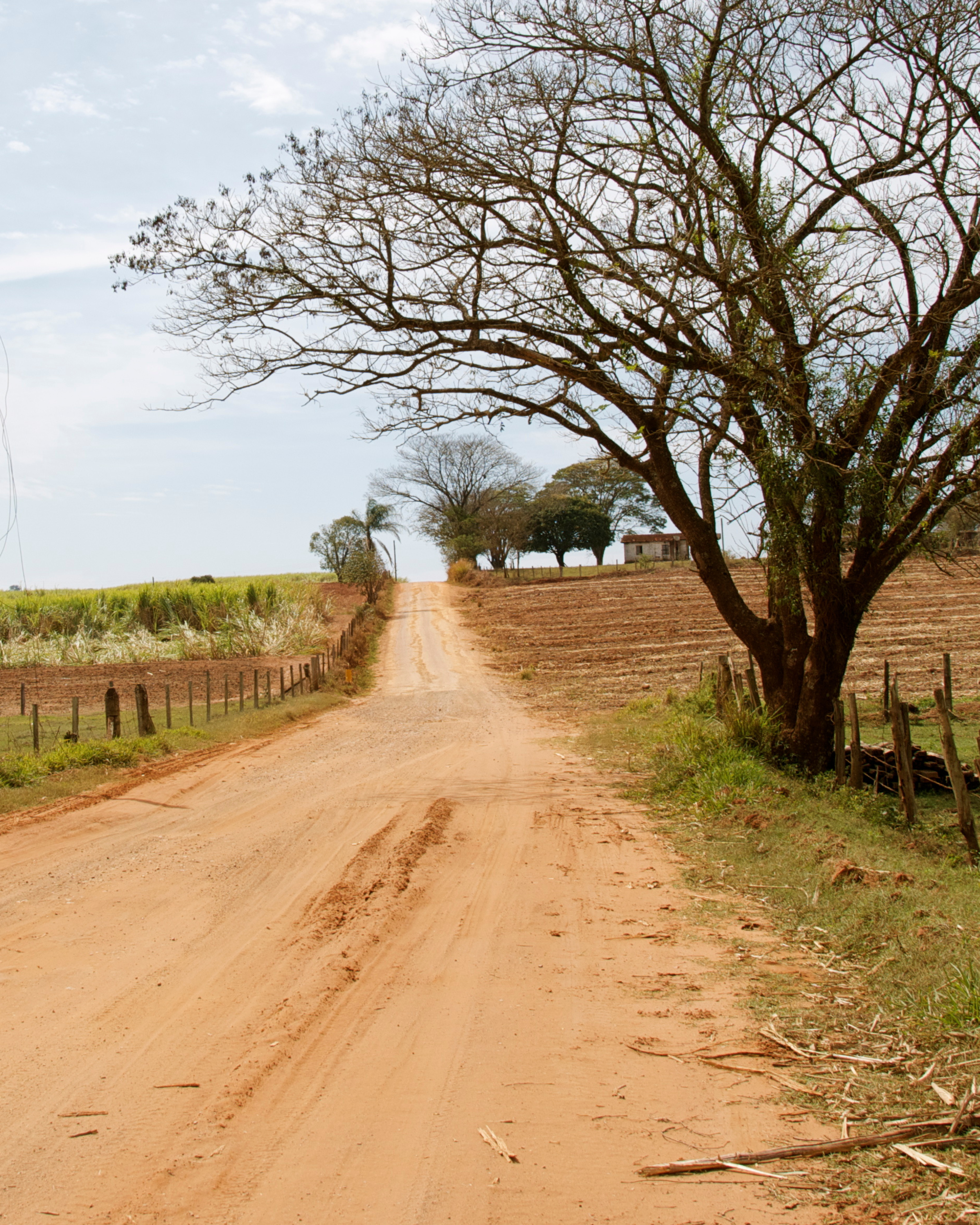 Building Momentum for Rural Institutions and Learners
